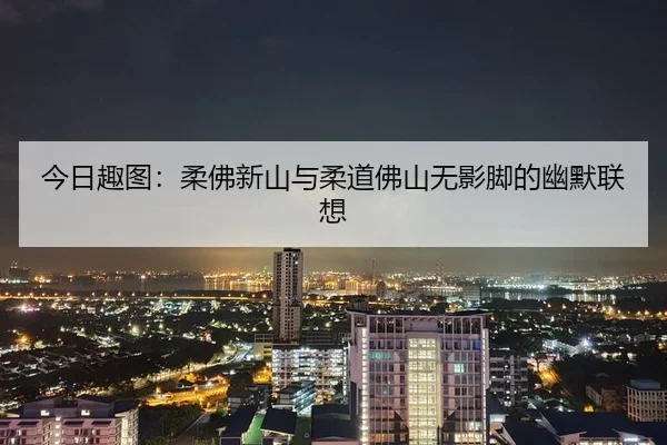 今日趣图：柔佛新山与柔道佛山无影脚的幽默联想（SANYI）